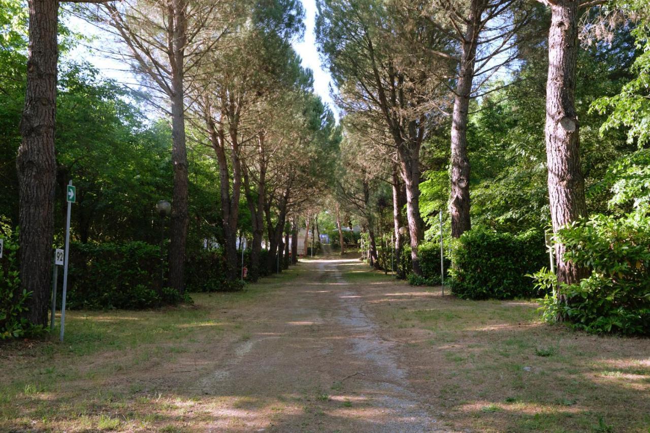 Отель Camping La Chiocciola Capannole Экстерьер фото